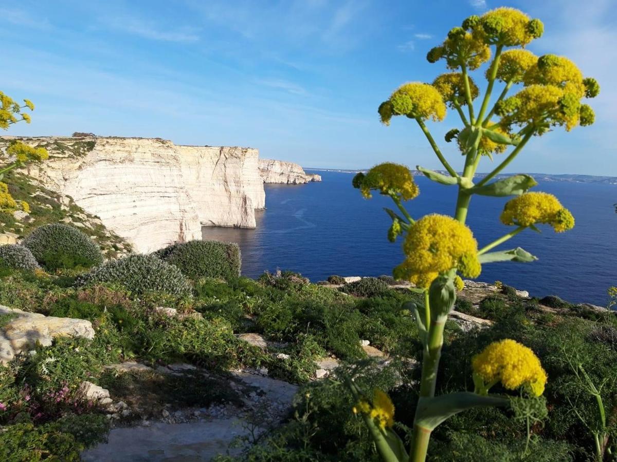Ad Hoc B&B Il-Pergla Luaran gambar